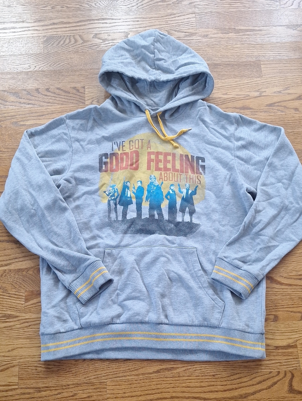 Disney Park x Star Wars Gray Graphic Pullover Hoodie - Good Feeling About This M